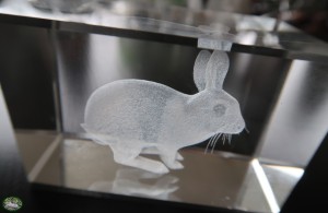 Bunnyflop Konijnen Webshop 3D Laser Gravure Konijn in Glas (5x5x8cm)