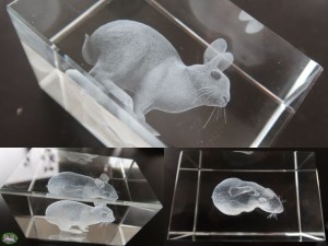 Bunnyflop Konijnen Webshop 3D Laser Gravure Konijn in Glas (5x5x8cm)