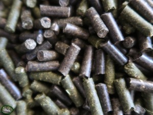 Bunnyflop Konijnen Webshop Paardenbloem Pellets (100gr)