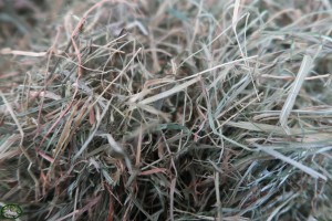 Bunnyflop Konijnen Webshop Meadow Hay (1kg)