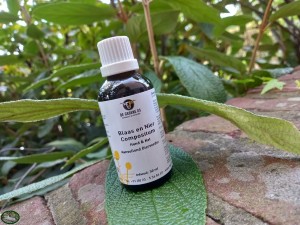 Groene Os Blaas en Nier Compositum (50ml)