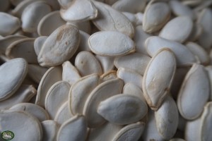 Bunnyflop Konijnen Webshop Pompoen Pitten (500gr)