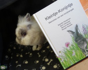 Konijn Stoffie met Kleintje-Konijntje