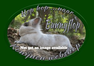 Bunnyflop Konijnen Webshop Niet-Medische Wegwerp Mondmaskers 