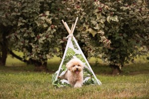 Croci Teepee 