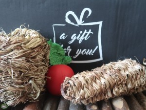 Bunnyflop Konijnen Webshop A Gift for You - Dé Bunnyflop Verrassing Box 