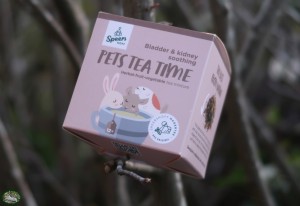 Speers Hoff Pets Tea Time 