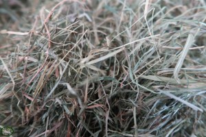 Bunnyflop Konijnen Webshop Meadow Hay (3kg)