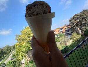 Bunnyflop Konijnen Webshop Ice Cream Cone 