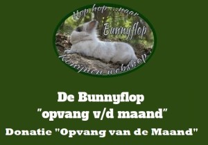 Bunnyflop Konijnen Webshop Donatie 