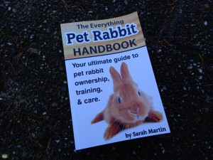 Sarah Martin The Everything Pet Rabbit Handbook: Your Ultimate Guide to Pet Rabbit Boek