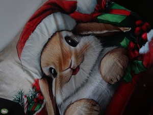 Bunnyflop Konijnen Webshop Plaid/Deken 