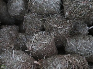 Bunnyflop Konijnen Webshop Hay Chunks (set/2)
