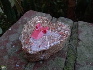Mr. Crumble Snackhartje van Timothy Hooi met Wortelstukjes (8cm)