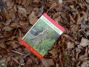 Anne McBride Rabbits and Hares (Engelstalig) Boek