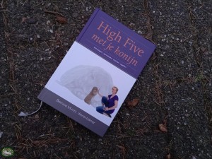 Bernice Muntz HighFive met je Konijn Boek