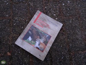Ruth Morgenegg Appropriate Care - a Basic Right for All Rabbits (Engelstalig) Boek
