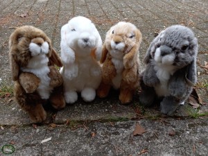 Bunnyflop Konijnen Webshop Konijnen Knuffel Hangoren (18cm)