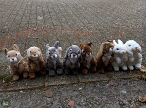 Bunnyflop Konijnen Webshop Konijnen Knuffel (18cm)