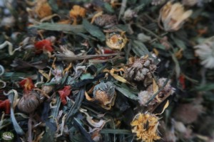 Bunnyflop Konijnen Webshop Summer Dream Mix (500gr)