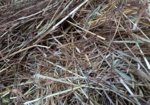 Bunnyflop Konijnen Webshop Herbal Hay (1kg)