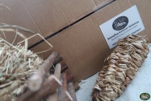 Bunnyflop Konijnen Webshop Hét Bunnyflop Kruiden en Bloemen Pakket 