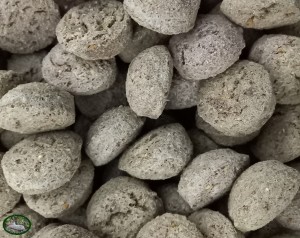 Bunnyflop Konijnen Webshop Kruidnoten (200gr)