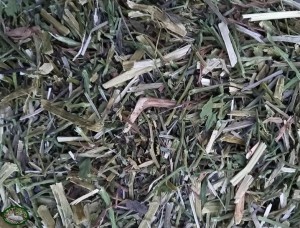 Bunnyflop Konijnen Webshop Happy Green (500gr)