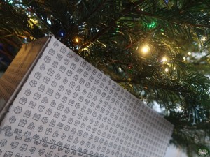 Bunnyflop Konijnen Webshop Hét Bunnyflop Kerstpakket Budget