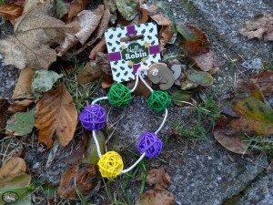Happy Pet Gemstone Forest Bunting Slinger (22x6x2,5cm)