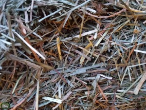 Bunnyflop Konijnen Webshop Happy Digest Mix (500gr)