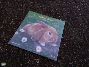 Alpha Edition Konijnen Kalender 2026