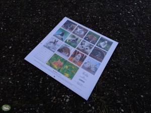 Alpha Edition Konijnen Kalender 2026