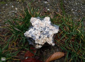 Trixie X-Mas Ster Pastinaak (80gr)