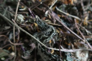 Bunnyflop Konijnen Webshop Winter Mix (500gr)