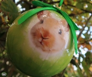 Plenty Gifts Kerstbal 