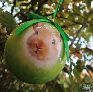 Plenty Gifts Kerstbal 