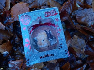 Plenty Gifts Kerstbal Konijn Frosted (10cm)