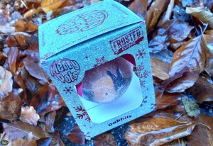 Plenty Gifts Kerstbal Konijn Frosted (10cm)