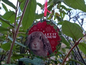 Plenty Gifts Bauble Xmas Tin 