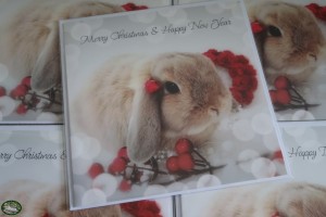 Roosje~Rosalie Kerstkaart Dubbel 