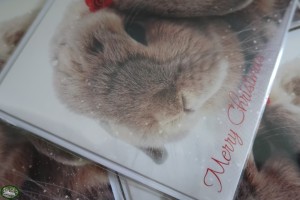 Roosje~Rosalie Kerstkaart Dubbel 