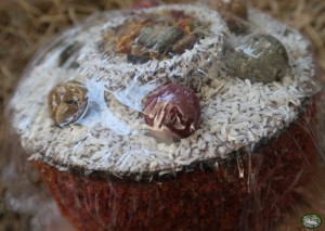 Rosewood Naturals Verjaardagstaart (13x13x10cm)