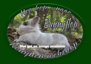 Bunnyflop Konijnen Webshop Paasmix (500gr)