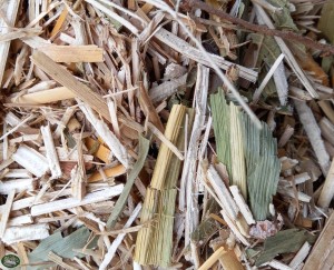 Bunnyflop Konijnen Webshop Happy Teeth Mix (500gr)