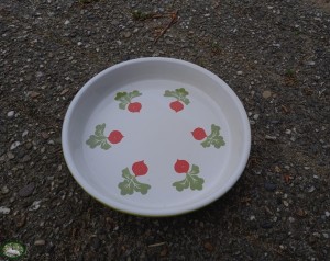 Nobby Voerschaal Radijs Print (19x3,5cm)