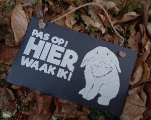 Paper Dreams Leisteen Waakbord 