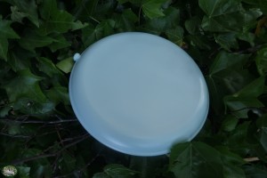 Flamingo Cooling Disk Fresk Aleska (21x21x3,5cm)