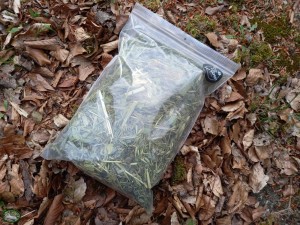 The Pet Expert In de Rui Mix (400gr)