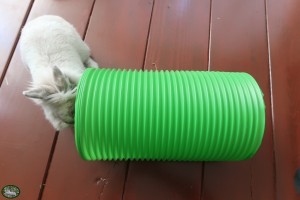 Konijn Stoffie met de Snuggle Safe Bunny Warren Tunnel